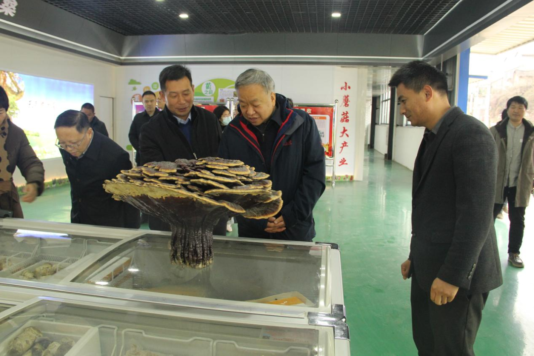 4fc6f4c68380091e74e99580642eed0c.png 4fc6f4c68380091e74e99580642eed0c.png