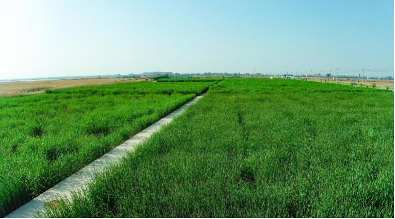 圖片18.png 圖片18.png